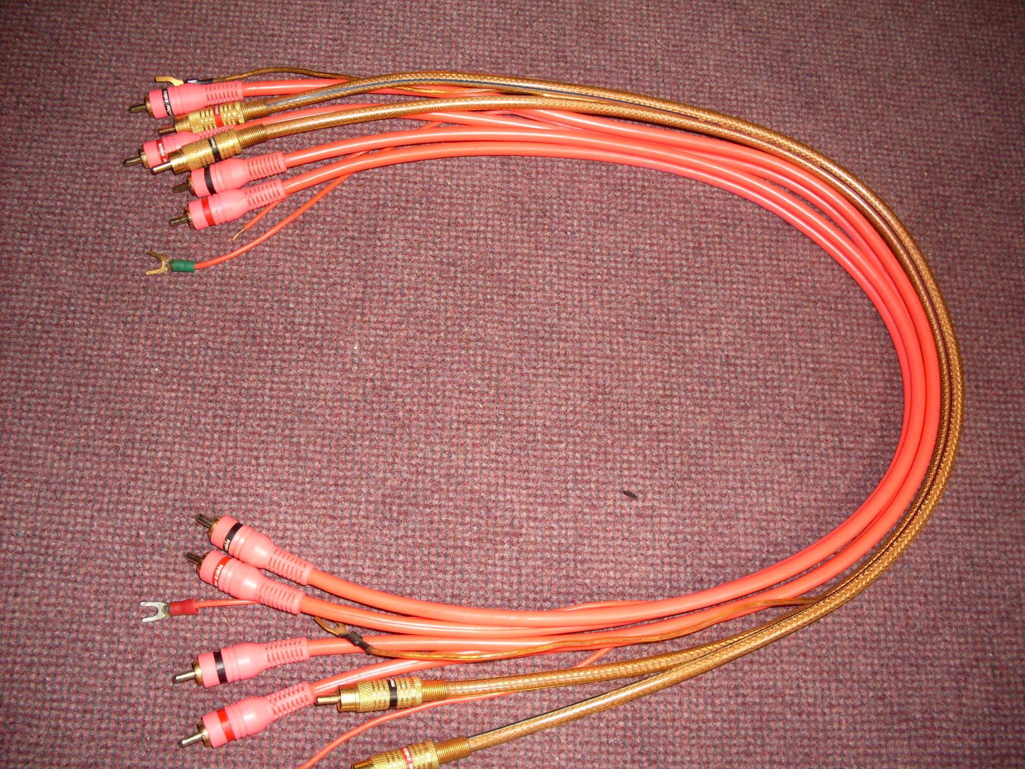 SDC10443.JPG