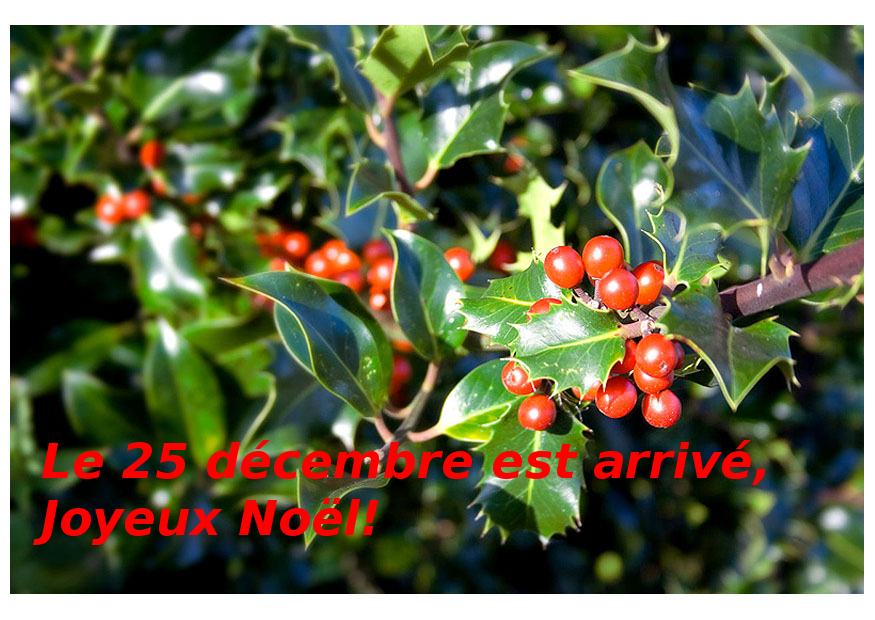 noël_2012.jpg