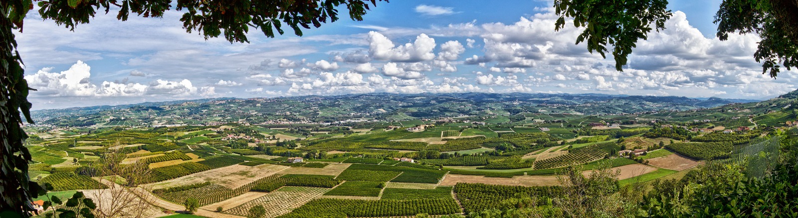 Langhe_Rob_2019.JPG